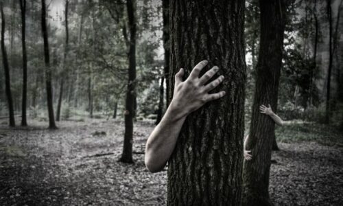 photo-1444146085469-2a4ef5a7e5fb-600x400-1.jpg